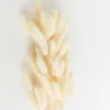 Best Sale Lagurus White Dried Flowers