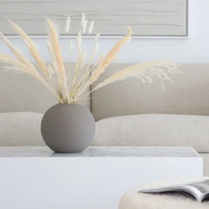 Clearance Pampas White Dried Flowers