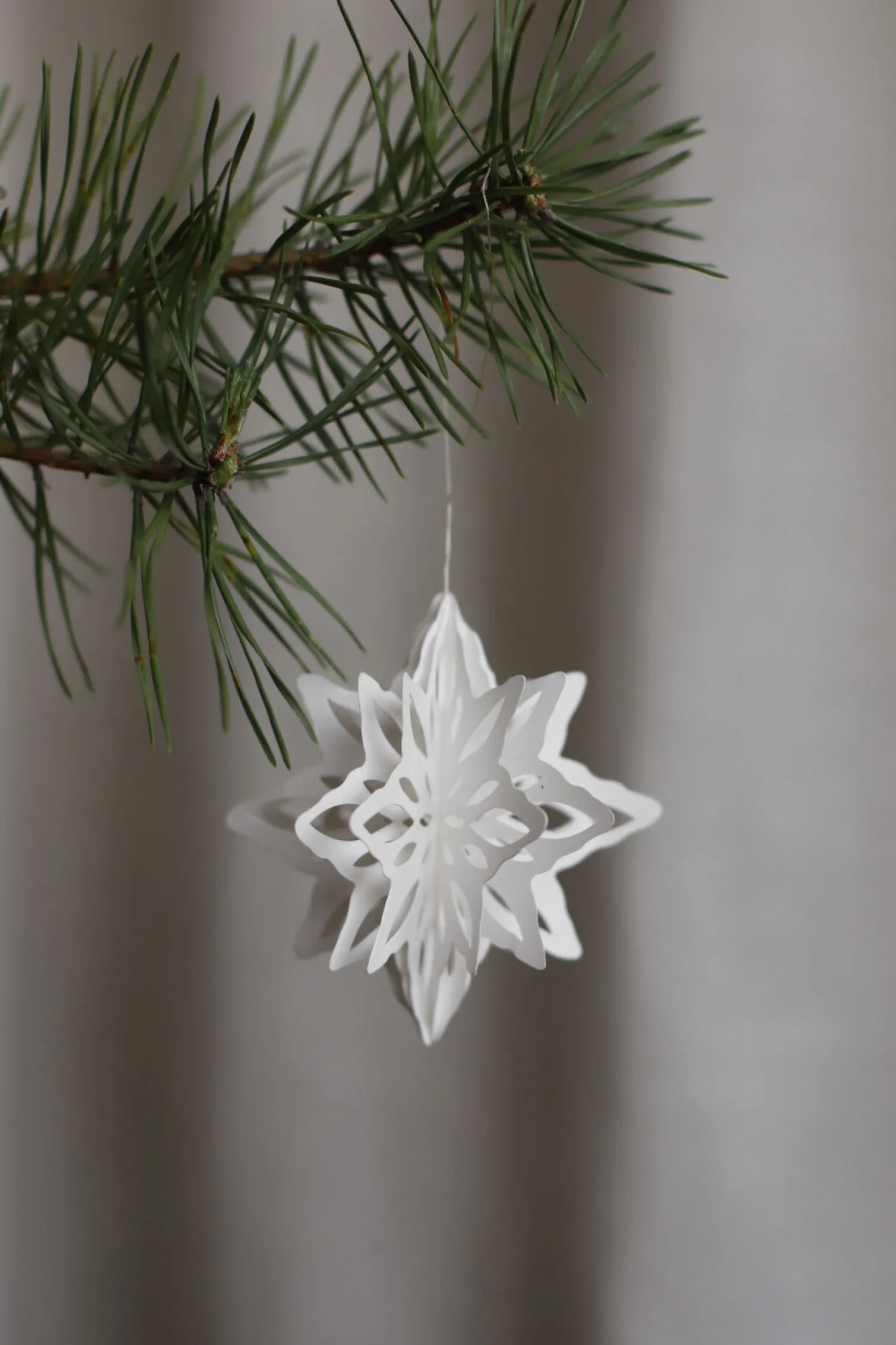 paper_nova_star_natural__pcs_1.webp Sale Paper Nova star natural (2 pcs) Seasonal
