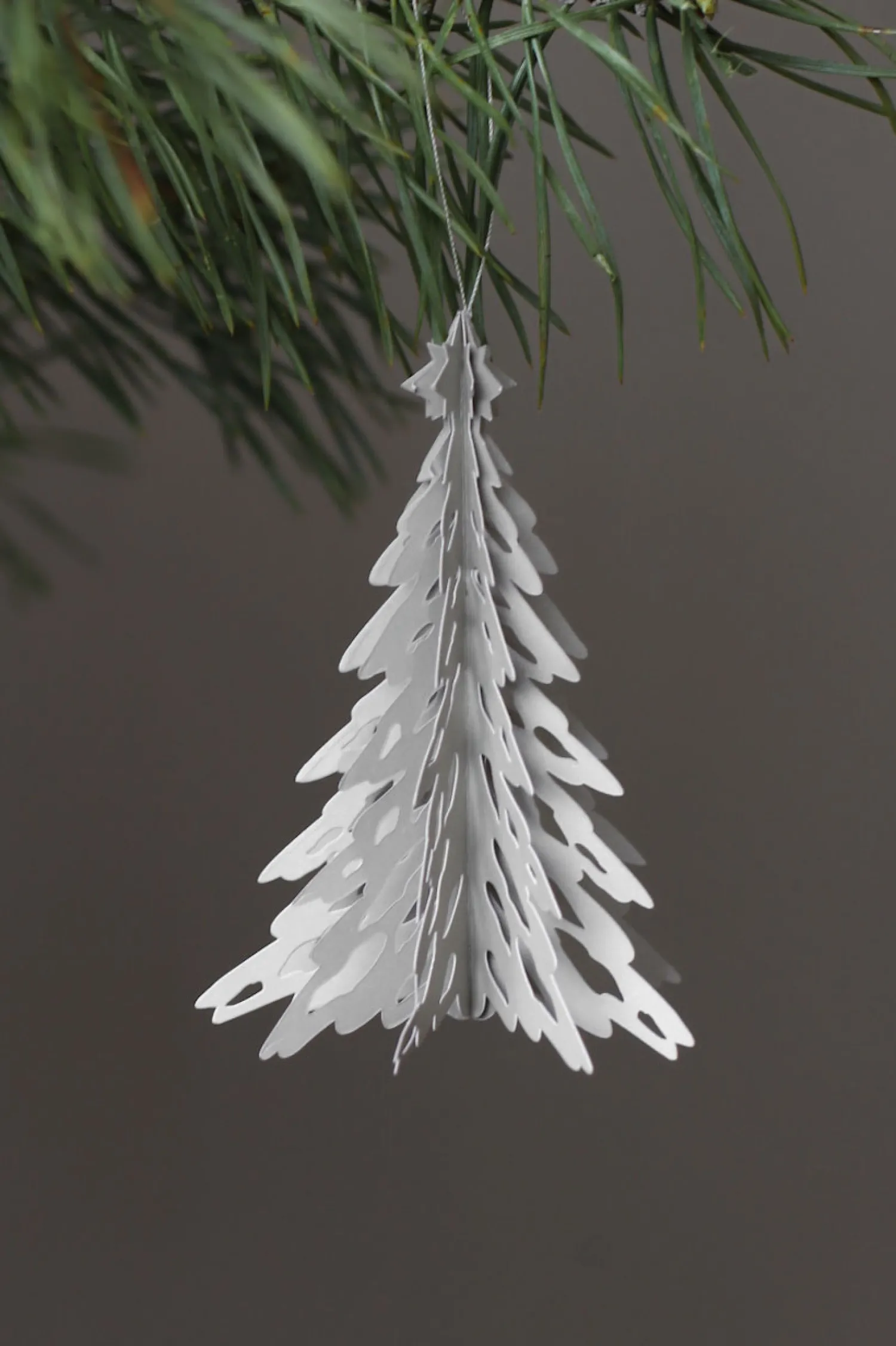 paper_pinetree_natural__pcs_1.webp Cheap Paper Pinetree Natural (2 pcs) Seasonal