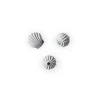 Clearance Sculpture The Genesis Shells Limestone Accessories