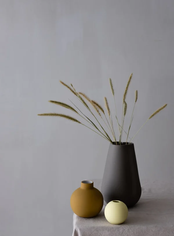 Hot Setaria Nature Dried Flowers