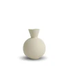 Best Trumpet Vase Shell Small Vases